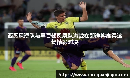 西悉尼漫队与惠灵顿凤凰队激战在即谁将赢得这场精彩对决
